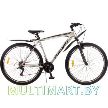 Горный велосипед Favorit Buffalo-29VS BUF29V21GR (серый)